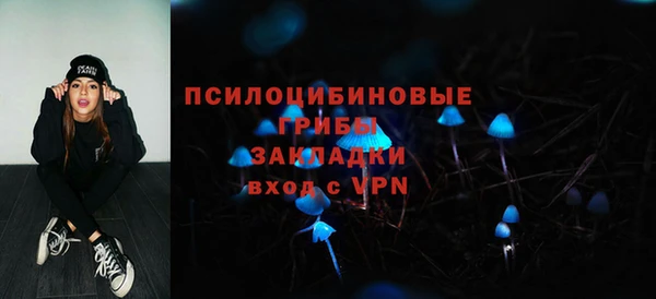 мяу мяу мука Алексеевка