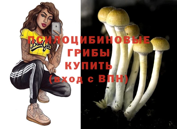 дурь Алзамай