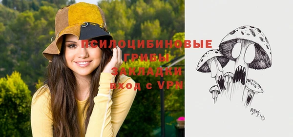 дурь Алзамай