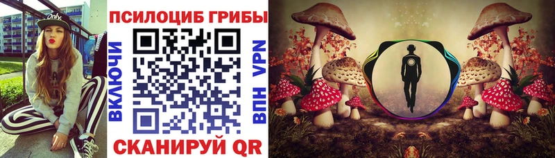 купить закладку  Кропоткин  Галлюциногенные грибы ЛСД 