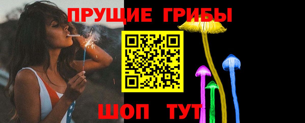 Кропоткин  Псилоцибиновые грибы ЛСД  Вход с VPN 